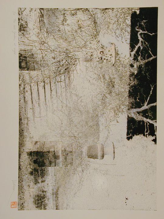 The Lost Garden at Night