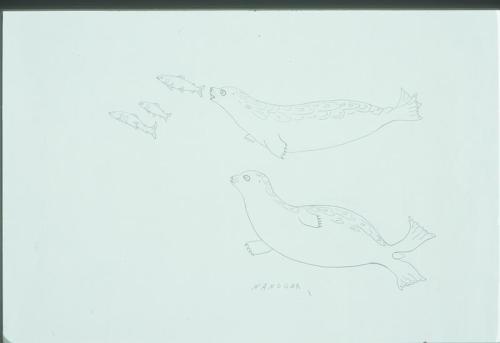 Untitled (2 Seals and 3 Fish)
