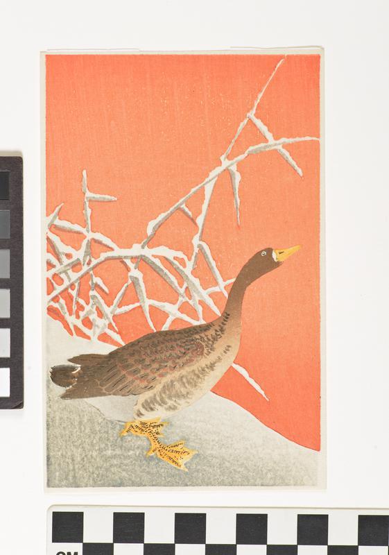 Ohara Koson (Shoson)