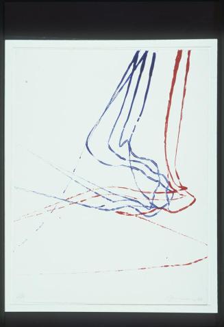 Random Magnetic Print Series...Three Red and Five Blue (No. 7 of Toronto Twenty Portfolio)