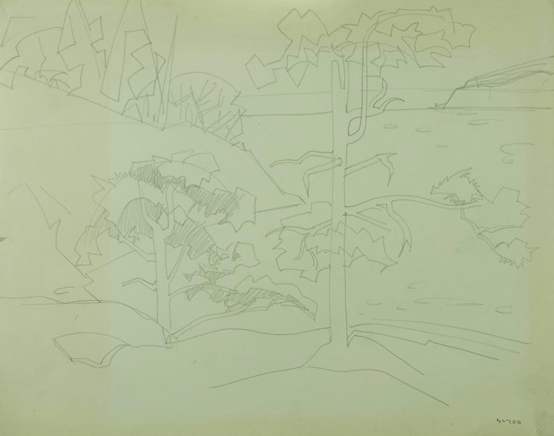 Pender Island (Trees)