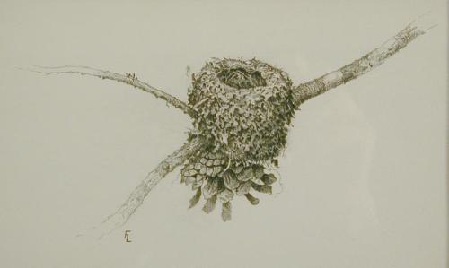 J. Fenwick Lansdowne